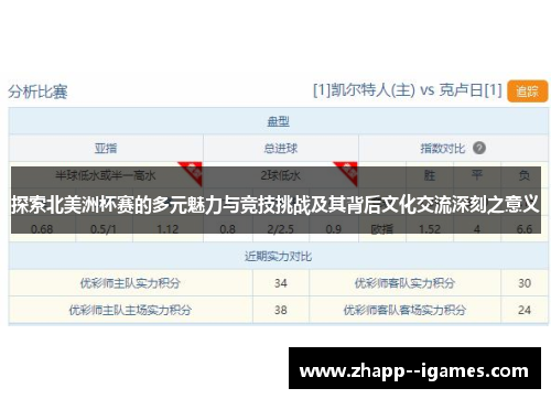 探索北美洲杯赛的多元魅力与竞技挑战及其背后文化交流深刻之意义