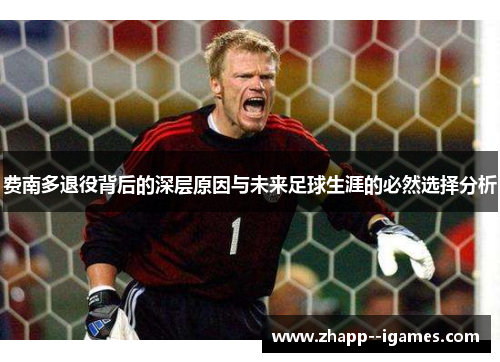 费南多退役背后的深层原因与未来足球生涯的必然选择分析 费南多退役背后的深层原因与未来足球生涯的必然选择分析