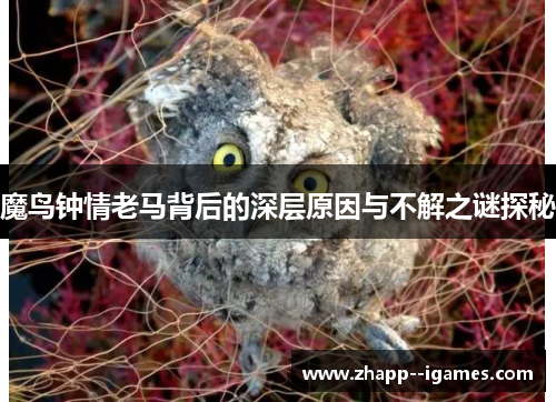 魔鸟钟情老马背后的深层原因与不解之谜探秘